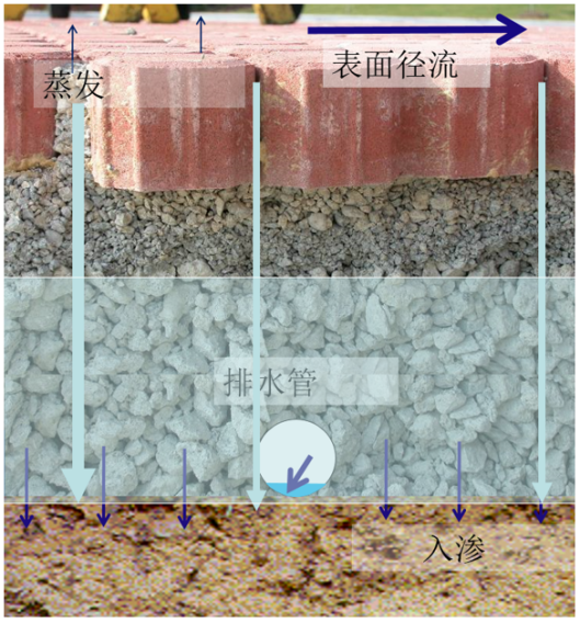 雨水收集系統(tǒng)