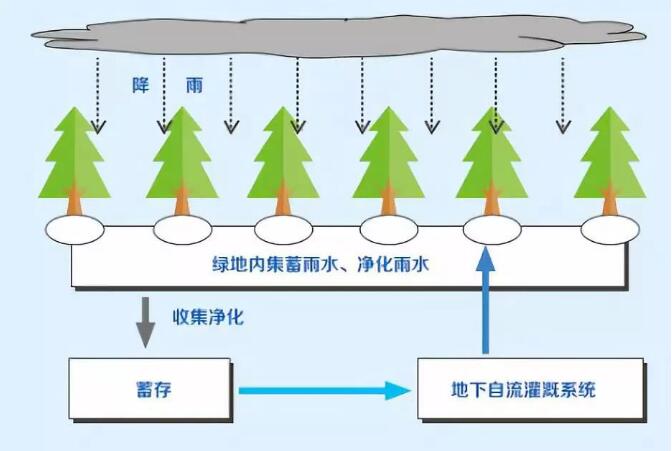 雨水收集系統(tǒng)